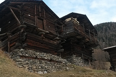 Avant transformation