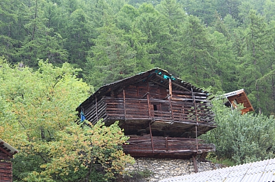 Avant transformation