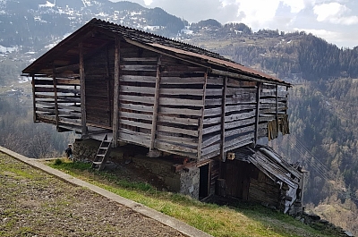 raccard d'origine, sur pierre à souris