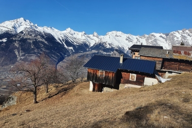 Mayen aux "Crêteaux" sur Isérables